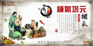 中醫四季養生藥膳理療進補文化展板設計